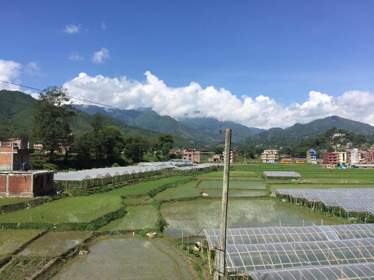 Panauti Homestay Homestay